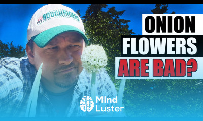 Why Are Onion Flowers So Bad Garden Quickie Episode 208