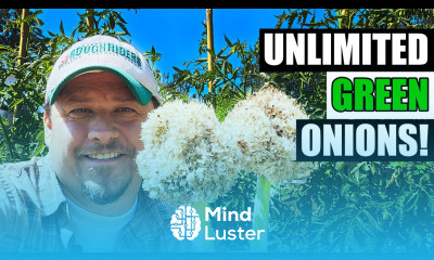 Saving Your Own Green Onion Seeds Garden Quickie Episode 209