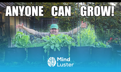 5 Easiest Crops For Beginner Gardeners