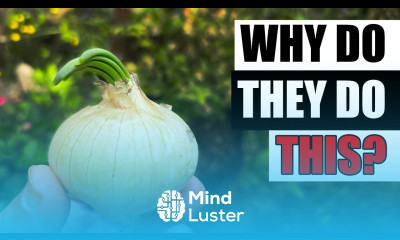 Why Do Onions Sprout Garden Quickie Episode 249