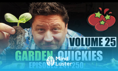 Garden Quickies Volume 25 Episodes 241 to 250