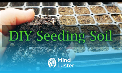 How To Make Your Own Seed Soil Mix