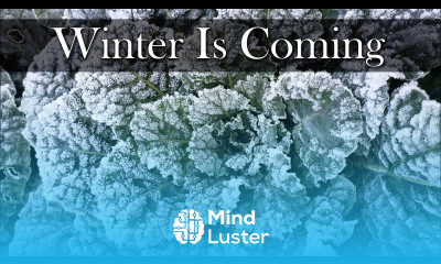 Winterizing Your Vegetable Garden 6 Tips For 2023