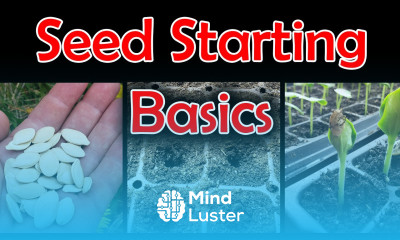 Seed Starting Basics What You Need To Get Started