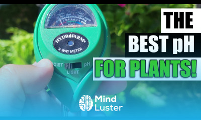 The Best pH For Plants Garden Quickie Episode 79