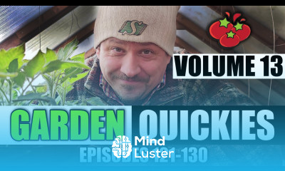 Garden Quickies Volume 13 Episodes 121 to 130