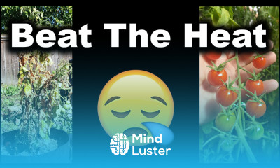 5 Ways To Beat The Summer Heat And Avoid Drought In Your Garden