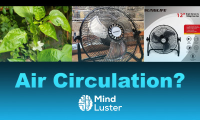 Greenhouse Air Circulation – and Sunglife High Velocity 12 inch Fan Review