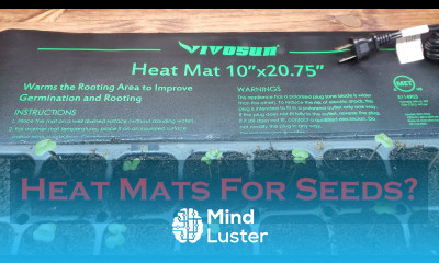 Seeding Heat Mats Explained For Beginners Plus Vivosun Heat Mat Review