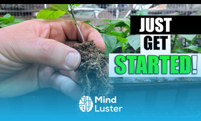 Just Get Started Planting A Garden