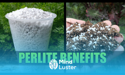 Perlite For Your Garden Garden Quickie Episode 47
