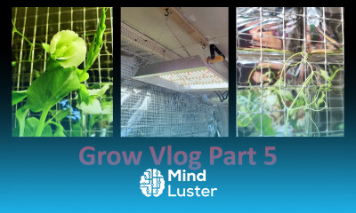 Indoor Grow Vlog Part 5 Move The Light Help The Peas