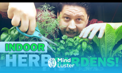 Indoor Herb Gardens The Definitive Guide For Beginners