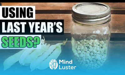 Using Last Years Seeds Garden Quickie Episode 120