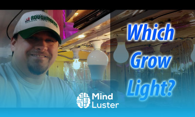 CFL vs LED vs HID Choose The Best Grow Light In 2020