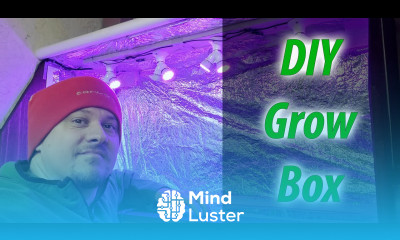 DIY Indoor Plant Grow Chamber or Grow Box 2020