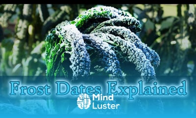 Frost Dates Explained Garden Quickie Episode 20