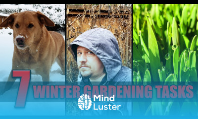 Winter Garden Dormancy 7 Things To Help Your Garden This Fall