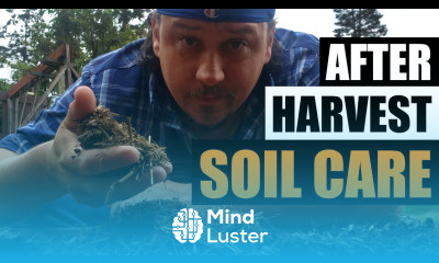 After Harvest Bed and Soil Care