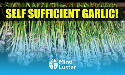 Be Self Sufficient Grow Garlic Garden Quickie Episode 64