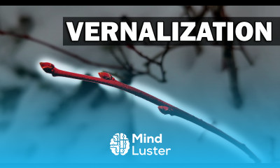 Vernalization Garden Quickie Episode 34