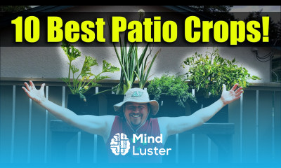 10 Best Vegetable Crops For Patios