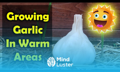 How To Grow Garlic In Warm Climates And Tropical Regions