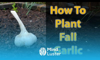How To Plant Garlic Using No Till Farming and Lasagna Gardening
