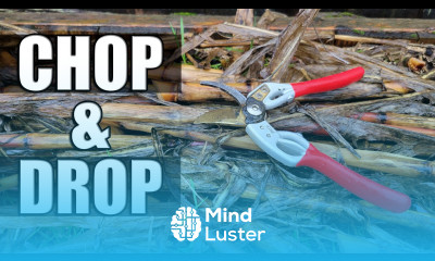 5 Benefits Of Chop And Drop Garden Quickie Episode 31