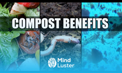 Extra Benefits Of Compost Garden Quickie Episode 39