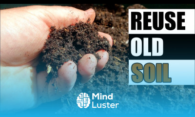 5 Ways To Reuse Old Soil Garden Quickie Episode 93