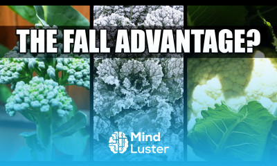 3 Fall Planting Advantages Garden Quickie 97