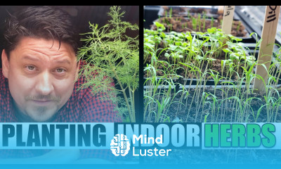 Easiest Way To Plant Your Indoor Herbs Garden Quickie Episode 113