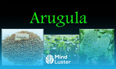 How To Grow Arugula Indoors Any Time Of The Year