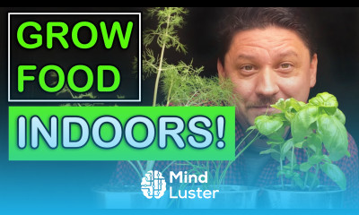 Growing Food Indoors The Ultimate Guide