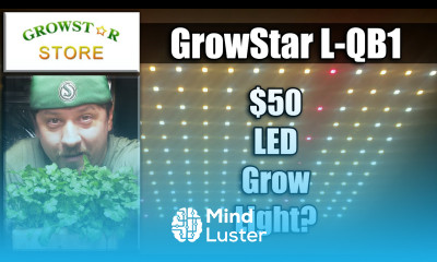 Inexpensive LED Grow Light Review Growstar QB1
