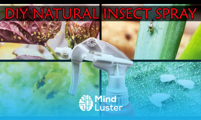 DIY Natural and Safe Insecticide Spray