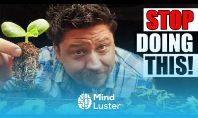 Learn 8 Seed Starting Mistakes To Avoid - Mind Luster