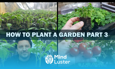 Growing Your First Garden Episode 3 of 4