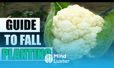 Fall Vegetable Gardening The Complete Guide