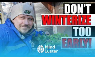 Don t Winterize Strawberries Too Early Garden Quickie Episode 99