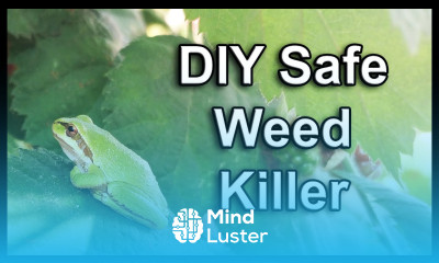 DIY Safe Organic Weed Killer A Natural Way To Control Weeds