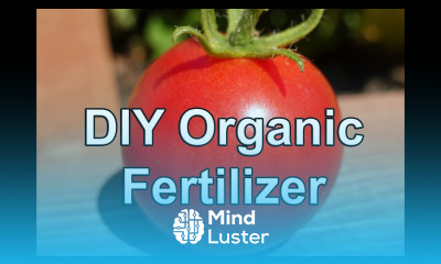 Make Your Own Organic Fertilizer from weeds