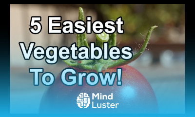 5 Of The Easiest Vegetables To Grow