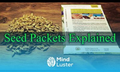 A Beginner s Guide To Seed Packet Information