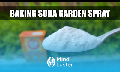 Baking Soda Pesticide and Fungicide Spray