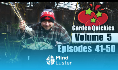 Garden Quickies Volume 5 Episodes 41 to 50