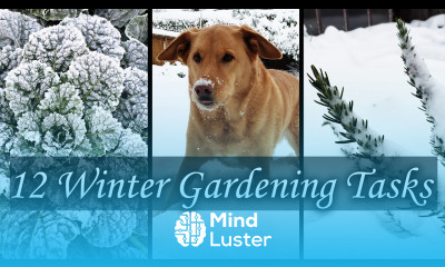 12 Winter Gardening Tasks For A Better Spring Garden
