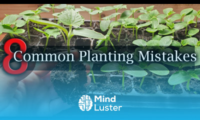 8 Common Planting Mistakes To Avoid For Beginner Gardeners