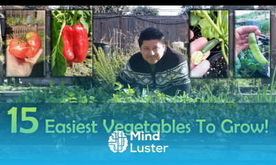 The 15 Easiest Vegetables To Grow For Beginners